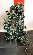 3 Stück ,Efeugirlande, Kunstblumen ,Hängepflanze, Girlande, Wanddeko, Blumendeko