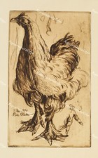 Richard Müller Huhn Chicken