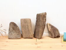 Treibholz 17-27cm, dicke Deko Hölzer, Schwemmholz Stücke zum basteln, Terrarium