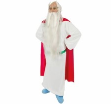 Herren kostüm miraculix - kostüm,
