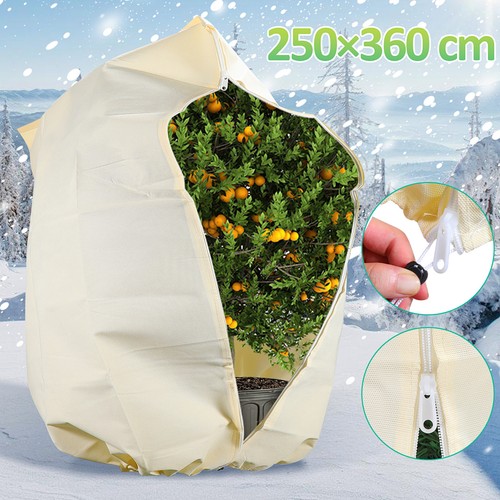 Winterschutz für pflanzen - pflanzen, mit
