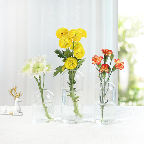 Glasvasen für blumen - für, –