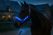 Stallhalfter Sicherheitshalfter Weidehalfter Reflexhalfter Led-Halfter