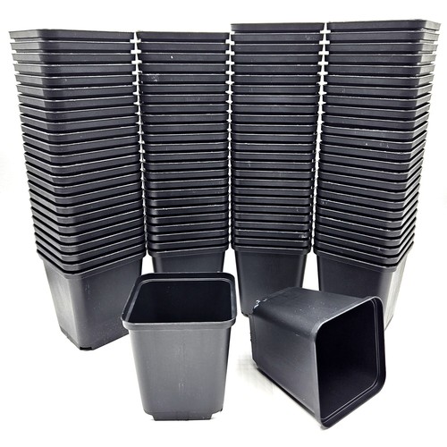 100 anzuchttöpfe 8x8x8 cm - x, 8x8x8,5
