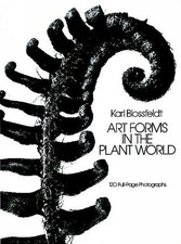 Art Forms in the Plant World |