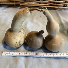 Kalebasse 3 St Flaschenkürbisse Baby-Rassel, Musikinstrument, Basteln FengShu