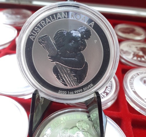 Australien koala 2020 1 - 2020,