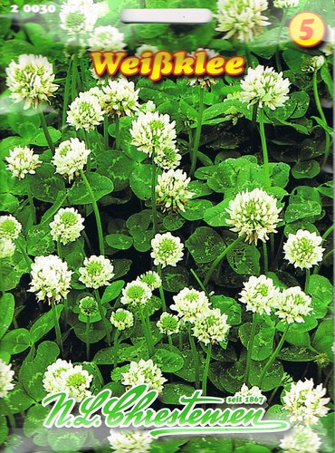Weißklee klee tierfutter - weißklee,