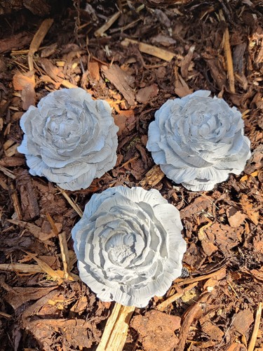 Blüten aus beton - aus,