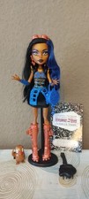 Monster High Puppe Rebecca Steam Basic Doll G1