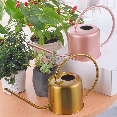 Blumengießkanne für
