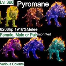 ASA🦖Ark Survival Ascended Pve Pyromane / Pyro 1916% Melee Top Stats DMG 366Lvl