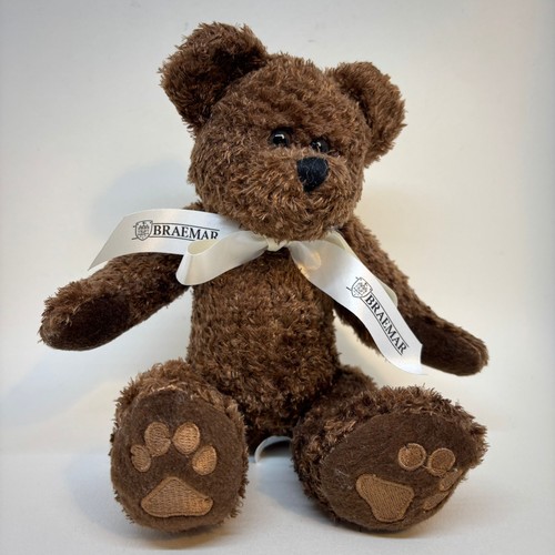 Sitzender brauner teddybär - brauner,