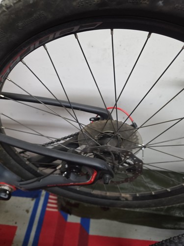 Mountainbike focus raven 0 - focus,