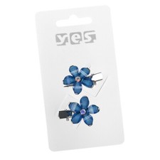 2 x kleine Schnabelspangen