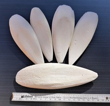 5 große Sepiaschalen, ca. 15