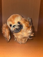 Steiff-Hund Pekinese ca