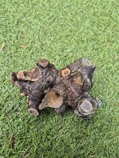 Selten HAMMERTEIL Unikat Skulptur  Schwemmholz Treibholz 11 x 8 x 5 cm leicht