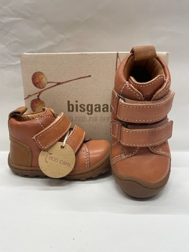 Bisgaard