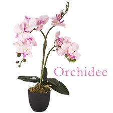 Künstliche Orchidee Kunstpflanze Pflanze Rosa Pink Topf 45 cm Decovego