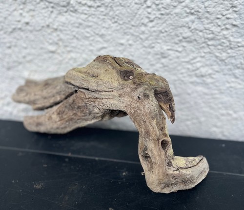Schwemmholz wurzel mit - schwemmholz,