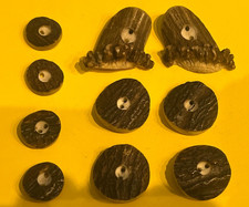 Gruppe Knöpfe Hirschhorn