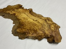 Olivenholz - Stamm -