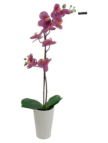 Ikea künstliche orchidee - künstliche, lila