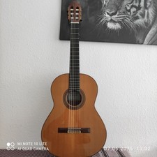 Altamira N500   Meistergitarre