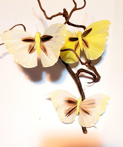 Schmetterlinge mit clip - 3,