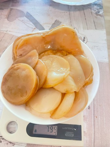 Kombucha großer - kombucha, –