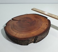 Pflaume Holz Stamm Scheibe