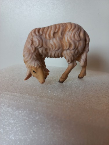 Schaf äsend königliche - schaf,