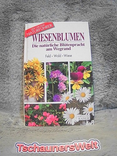 Wiesenblumen die natürliche - wiesenblumen,