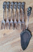 Hildesheimer Rose 6x