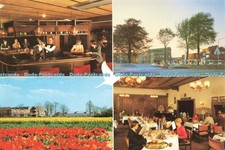 D241274 De Nachtegaal Van