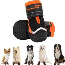 Hundeschuhe Pfotenschutz 2