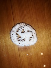 Geschnitzte Hirschhornrose