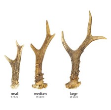Hirschgeweih / Reh Geweih Abwurfstange Natur Deko Basteln Krone Hirschgeweih
