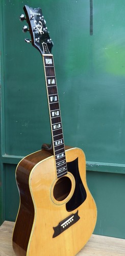 Akustikgitarre selten ibanez - akustikgitarre,