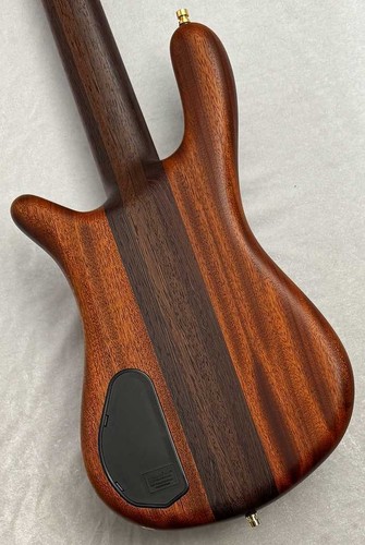 Warwick custom shop streamer - shop,