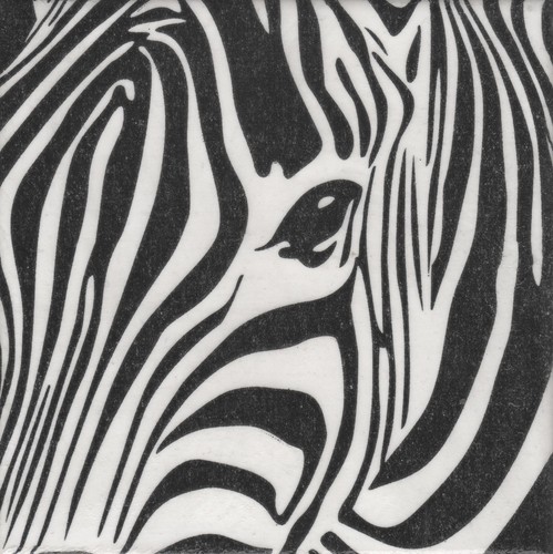 Dekobild zebra eye - zebra,