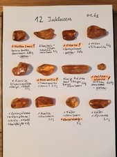 12 Bernstein Inklusen 41,6g