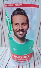 Werder Bremen Claudio Pizarro