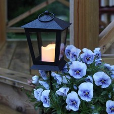 LED Laterne Grablicht mit