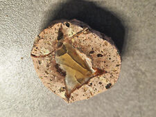 ACHAT im Rhyolith ähnlich Porphyr THÜRINGEN / GEHLBERG ANSCHLIFF Vorwendestück