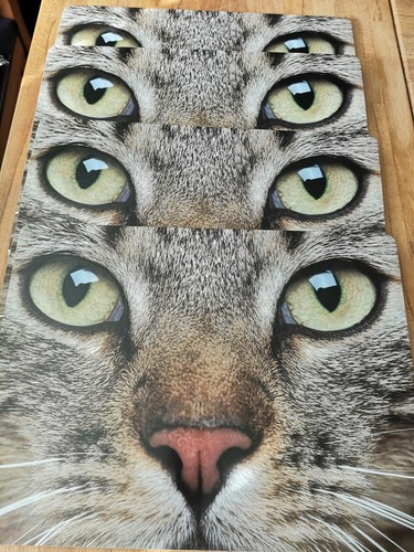 Tischsets katze - 4, x