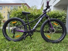 Specialized Riprock 24 Zoll. Fahrrad Rip Rock. Velo.