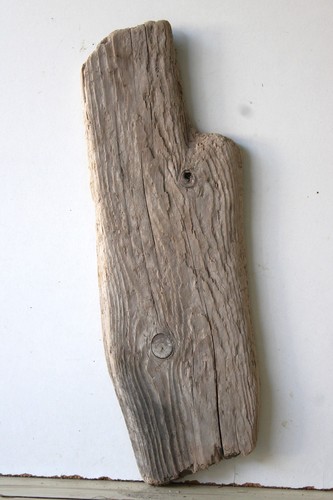 Treibholz schwemmholz - treibholz,