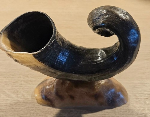 Widderhorn auf sockel aus - widderhorn,